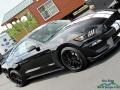 Ford Mustang Shelby GT350 Shadow Black photo #33