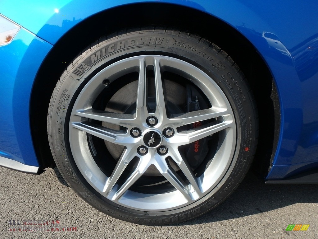 2019 Mustang GT Premium Fastback - Velocity Blue / Ebony photo #10
