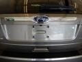 Ford Edge Limited Mineral Gray photo #7