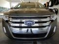 Ford Edge Limited Mineral Gray photo #11