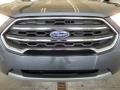 Ford EcoSport Titanium 4WD Smoke photo #12