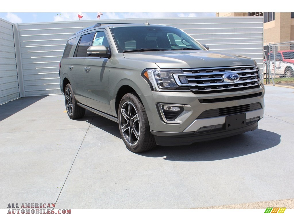 2019 Expedition Limited - Silver Spruce Metallic / Ebony photo #2