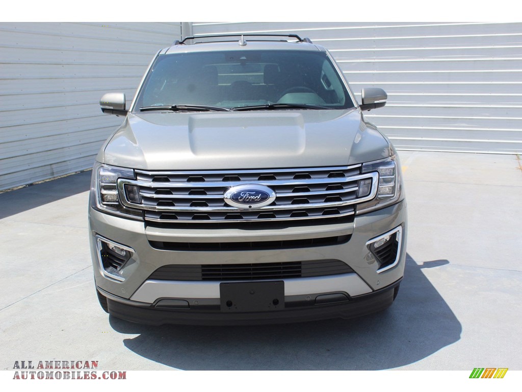 2019 Expedition Limited - Silver Spruce Metallic / Ebony photo #3