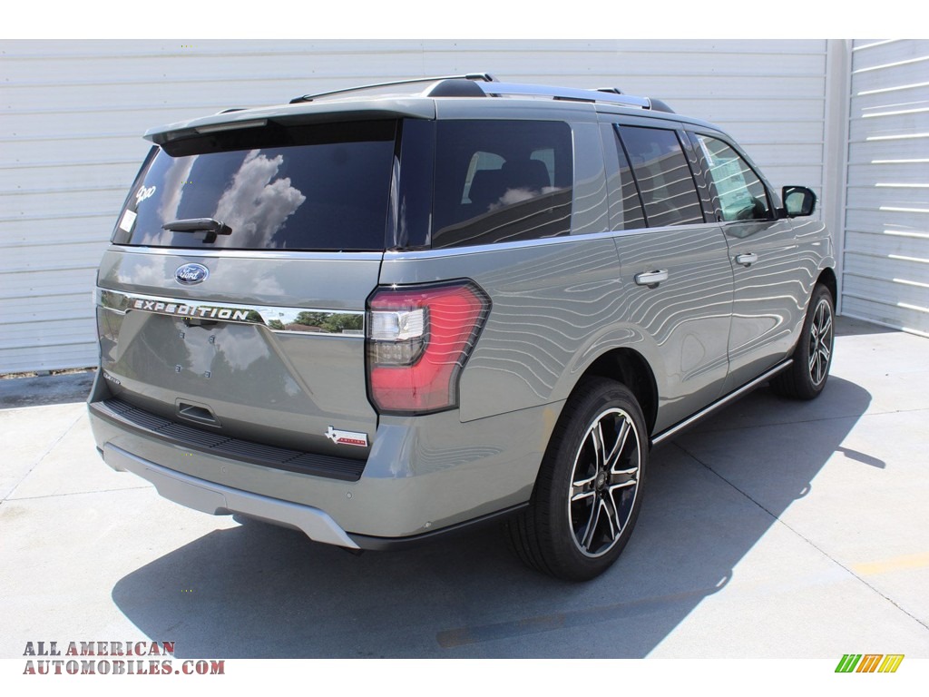 2019 Expedition Limited - Silver Spruce Metallic / Ebony photo #8