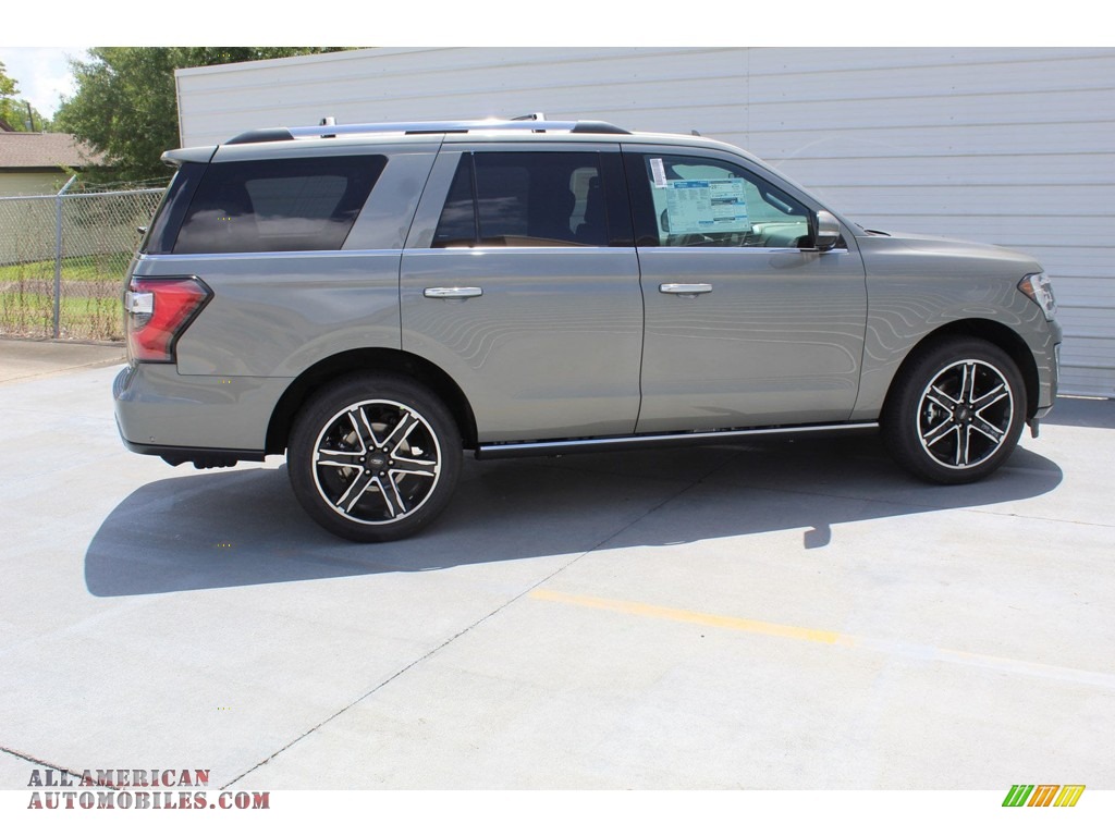 2019 Expedition Limited - Silver Spruce Metallic / Ebony photo #9