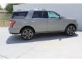 Ford Expedition Limited Silver Spruce Metallic photo #9