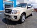Ford Expedition Limited 4x4 White Gold photo #2