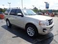 Ford Expedition Limited 4x4 White Gold photo #11