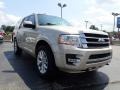 Ford Expedition Limited 4x4 White Gold photo #12