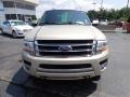 Ford Expedition Limited 4x4 White Gold photo #13
