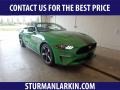 Ford Mustang EcoBoost Convertible Need For Green photo #1