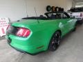 Ford Mustang EcoBoost Convertible Need For Green photo #2