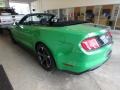 Ford Mustang EcoBoost Convertible Need For Green photo #4