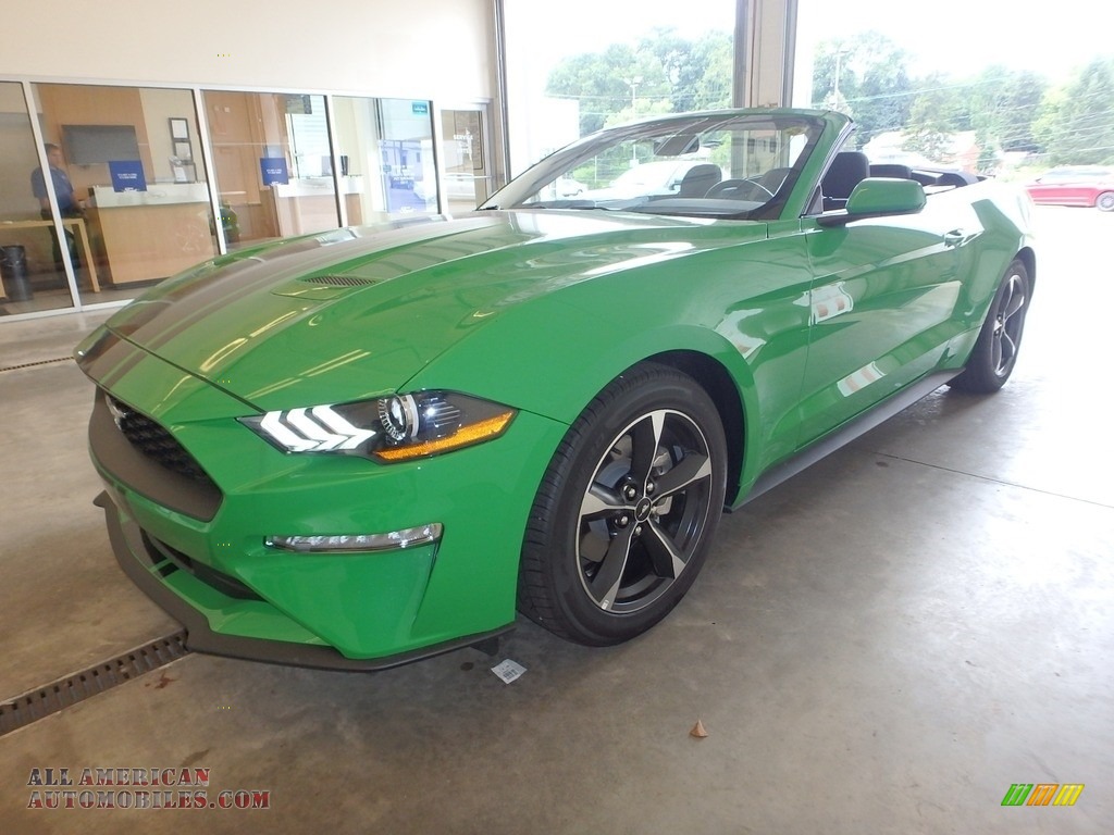 2019 Mustang EcoBoost Convertible - Need For Green / Ebony photo #5