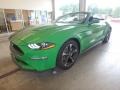 Ford Mustang EcoBoost Convertible Need For Green photo #5