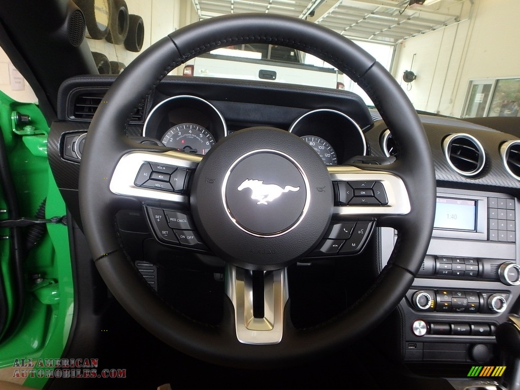 2019 Mustang EcoBoost Convertible - Need For Green / Ebony photo #14