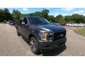Ford F150 XL SuperCrew 4x4 Magnetic photo #1