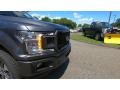 Ford F150 XL SuperCrew 4x4 Magnetic photo #27