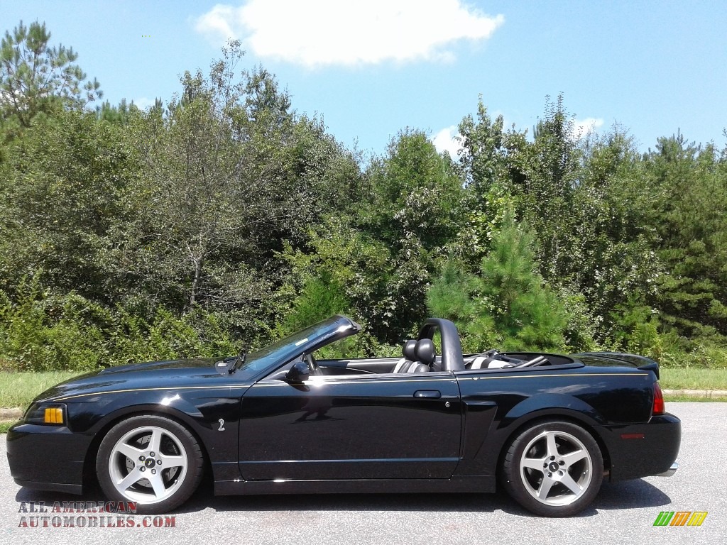 2003 Mustang Cobra Convertible - Black / Dark Charcoal/Medium Graphite photo #2