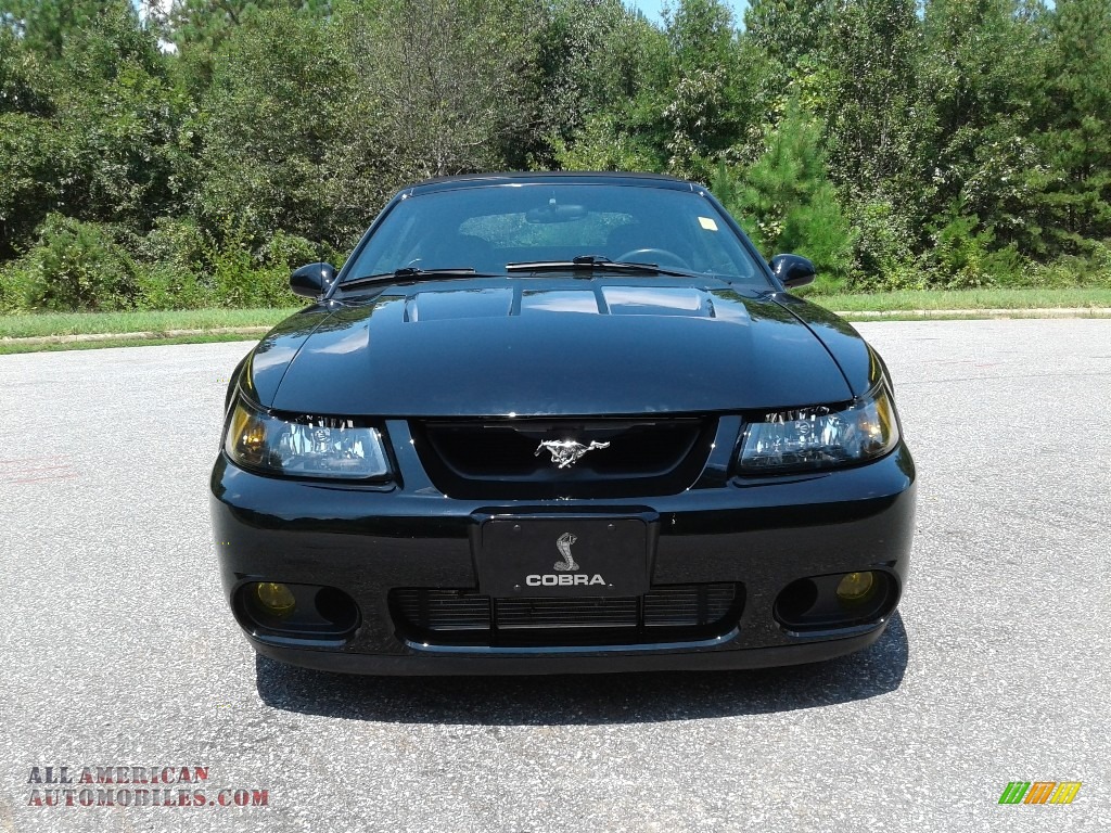 2003 Mustang Cobra Convertible - Black / Dark Charcoal/Medium Graphite photo #4