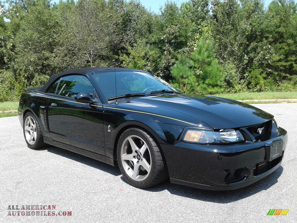 2003 Mustang Cobra Convertible - Black / Dark Charcoal/Medium Graphite photo #5