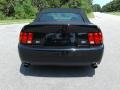 Ford Mustang Cobra Convertible Black photo #8