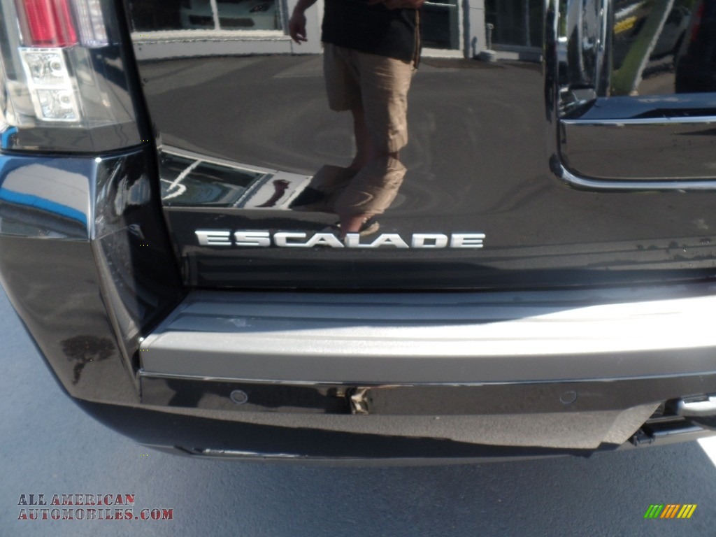2019 Escalade ESV Platinum 4WD - Black Raven / Jet Black photo #13
