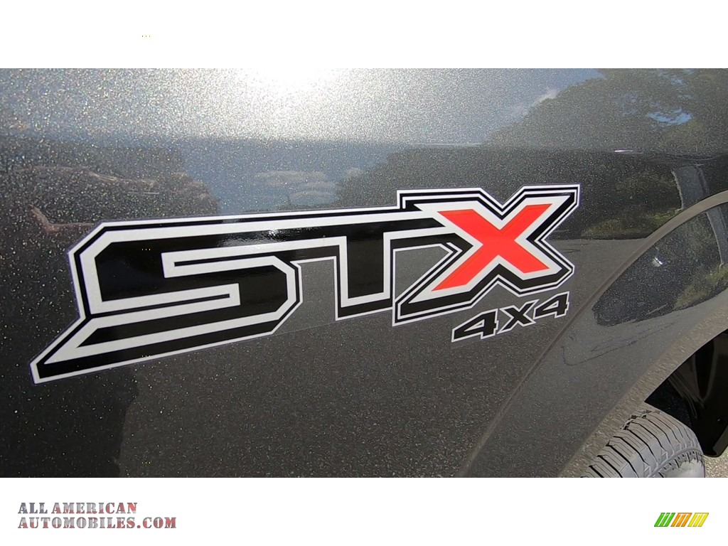 2019 F150 STX SuperCab 4x4 - Magnetic / Black photo #9