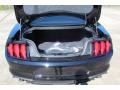 Ford Mustang EcoBoost Fastback Shadow Black photo #19