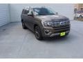 Ford Expedition Limited Stone Gray Metallic photo #2