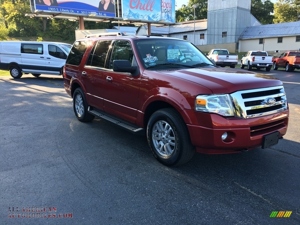 2013 Expedition XLT 4x4 - Ruby Red / Stone photo #4