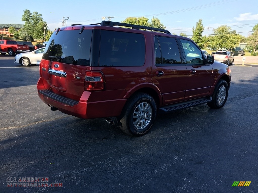 2013 Expedition XLT 4x4 - Ruby Red / Stone photo #6