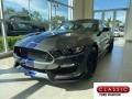 Ford Mustang Shelby GT350 Magnetic photo #1