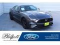 Ford Mustang EcoBoost Fastback Magnetic photo #1