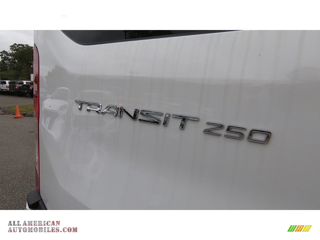 2019 Transit Van 250 LR Long - Oxford White / Pewter photo #9