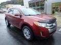 Ford Edge Limited Sunset photo #9