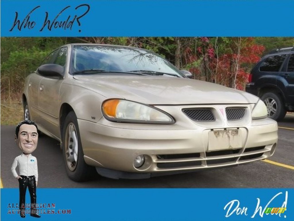 Champagne Beige Metallic / Dark Taupe Pontiac Grand Am SE Sedan