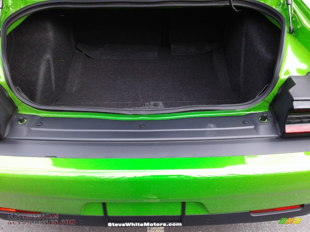 2017 Challenger T/A 392 - Green Go / Black photo #12