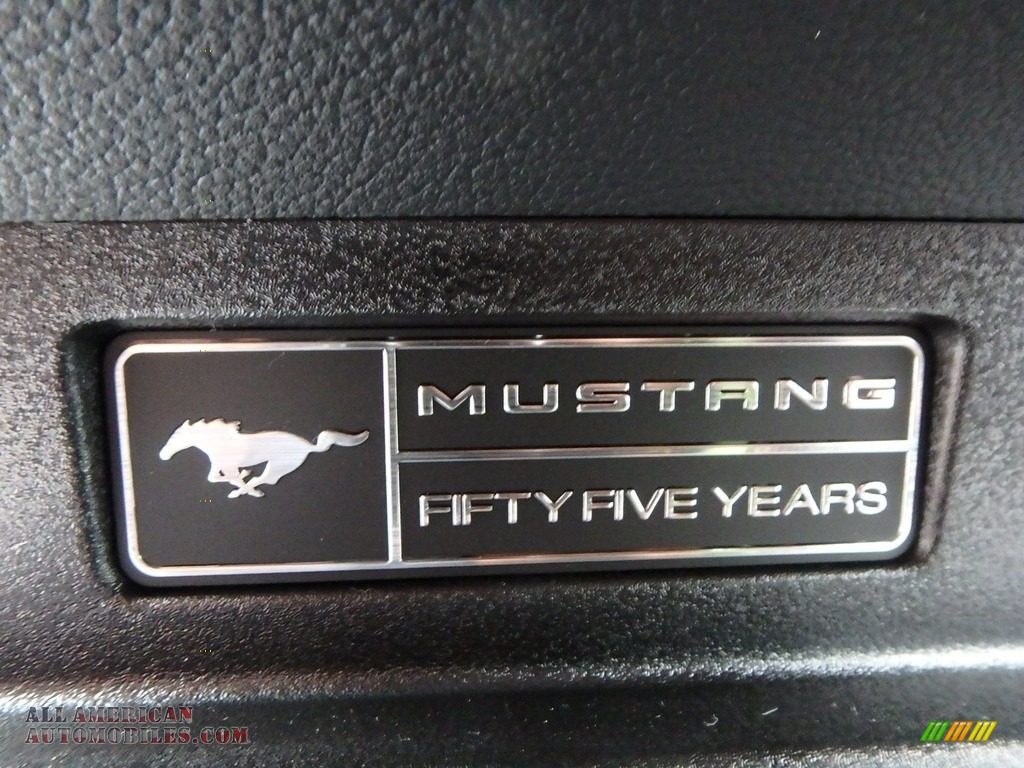 2020 Mustang GT Fastback - Oxford White / Ebony photo #20