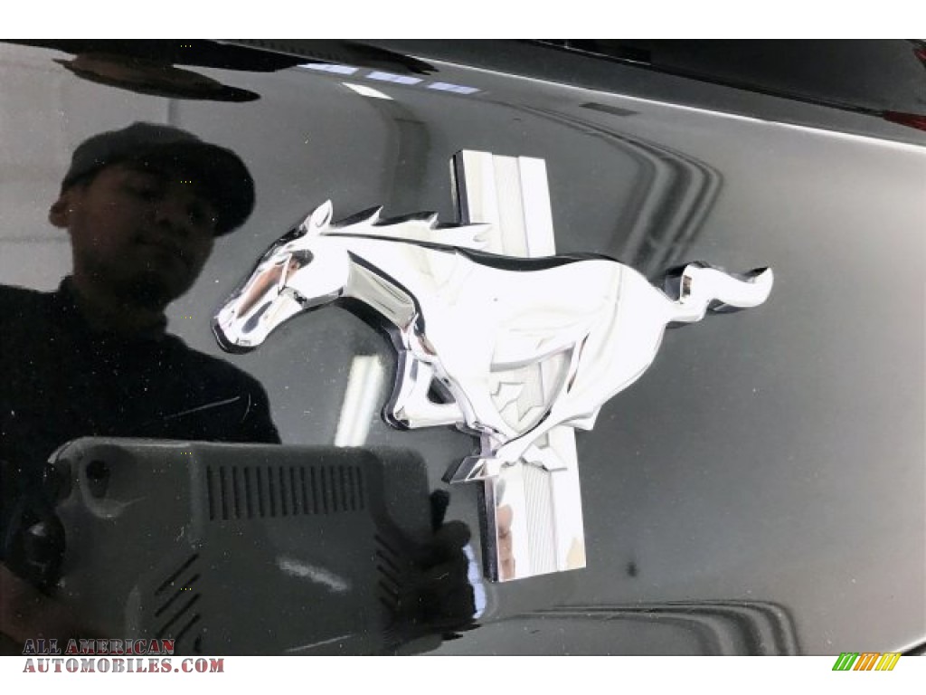 2015 Mustang V6 Convertible - Magnetic Metallic / Ebony photo #7