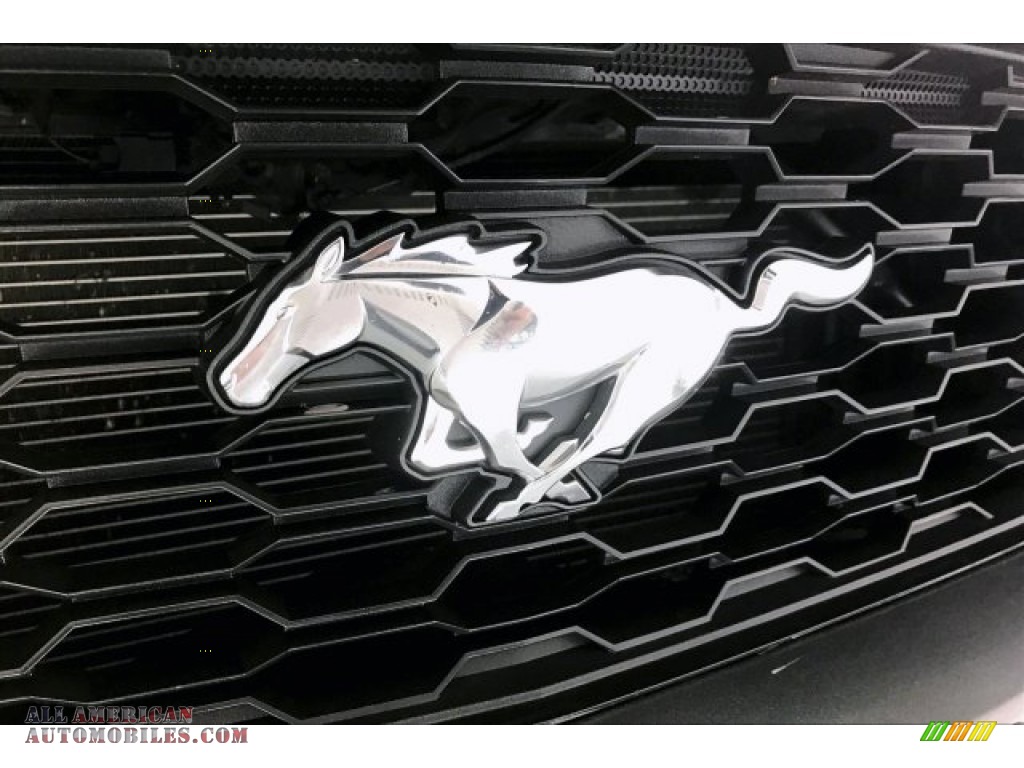 2015 Mustang V6 Convertible - Magnetic Metallic / Ebony photo #31