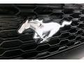 Ford Mustang V6 Convertible Magnetic Metallic photo #31