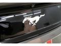 Ford Mustang EcoBoost Premium Convertible Magnetic Metallic photo #21