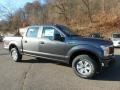 Ford F150 XL SuperCrew 4x4 Magnetic photo #9