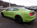 Ford Mustang GT Premium Fastback Grabber Lime photo #4