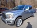 Ford F150 Limited SuperCrew 4x4 Iconic Silver photo #5