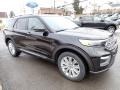 Ford Explorer Limited 4WD Agate Black Metallic photo #8