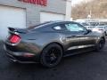 Ford Mustang GT Premium Fastback Magnetic photo #2