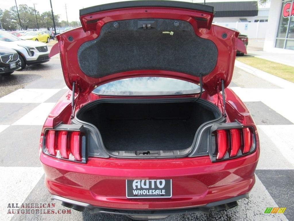 2019 Mustang GT Fastback - Ruby Red / Ceramic photo #5