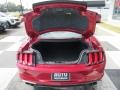 Ford Mustang GT Fastback Ruby Red photo #5